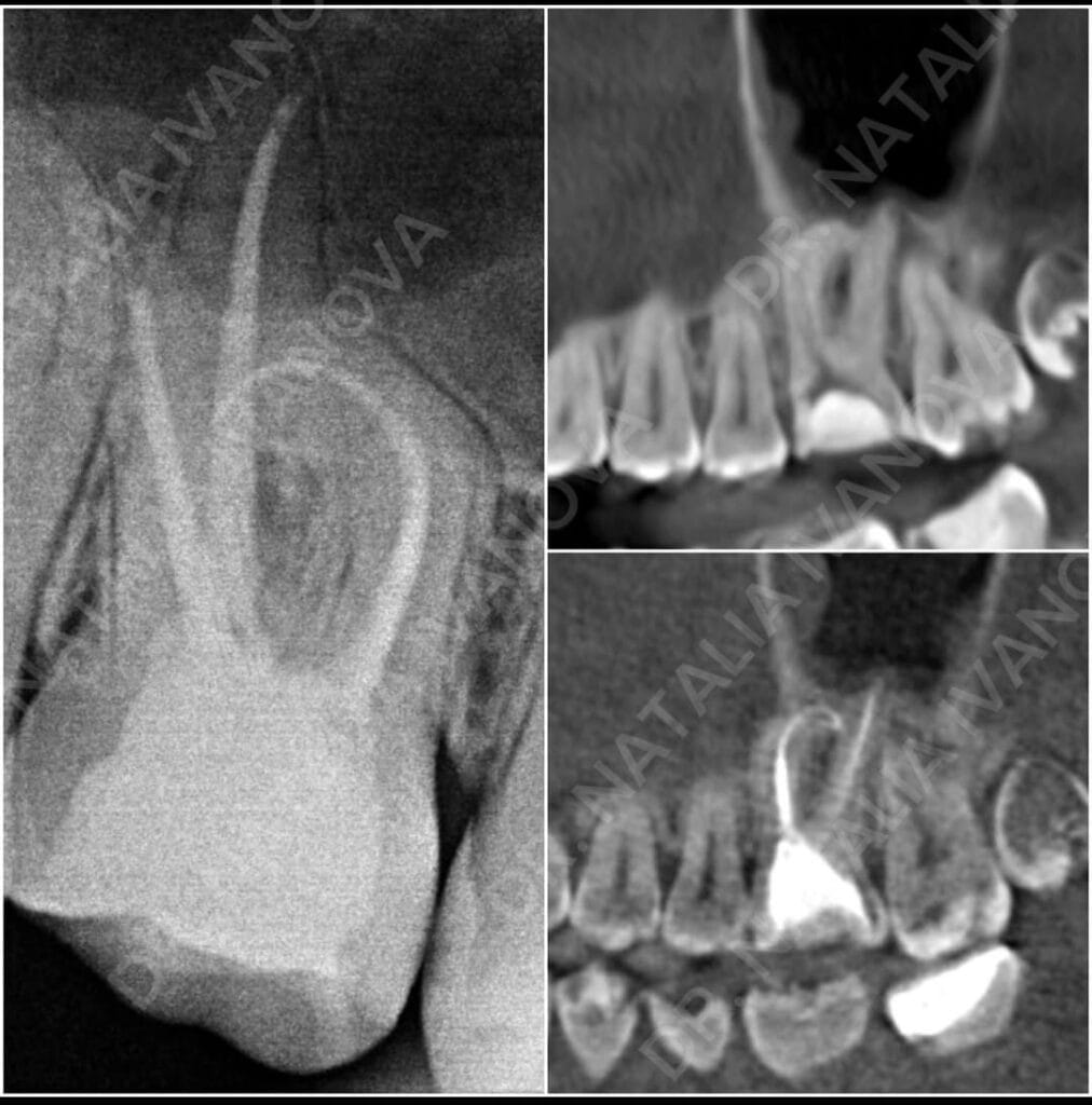 odontologie
